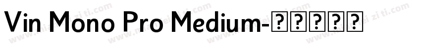 Vin Mono Pro Medium字体转换